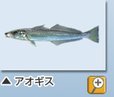 AIMX