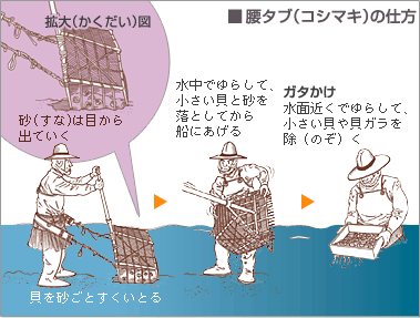 腰タブ(コシマキ)の仕方
